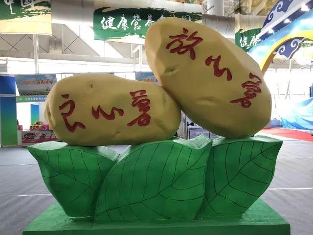2018中国国际薯业博览会今日开幕：11国200多个展商相聚赤峰